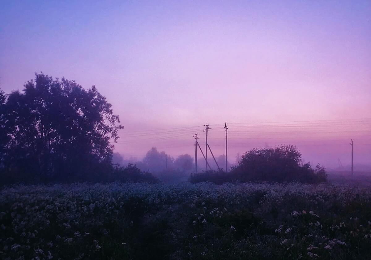 世界杯“抢票战”在即 中国女篮期待展现新面貌